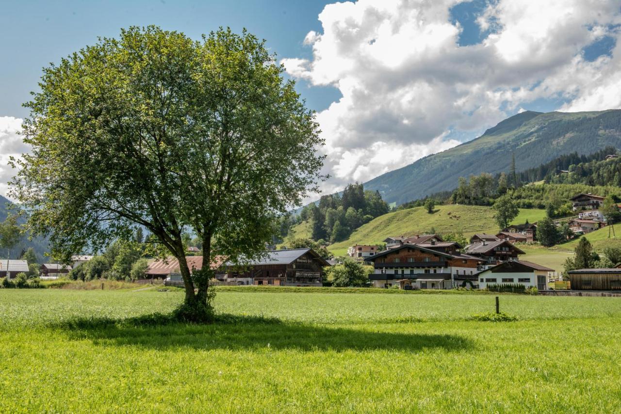 بيت ضيوف دراير Neukirchen am Großvenediger المظهر الخارجي الصورة
